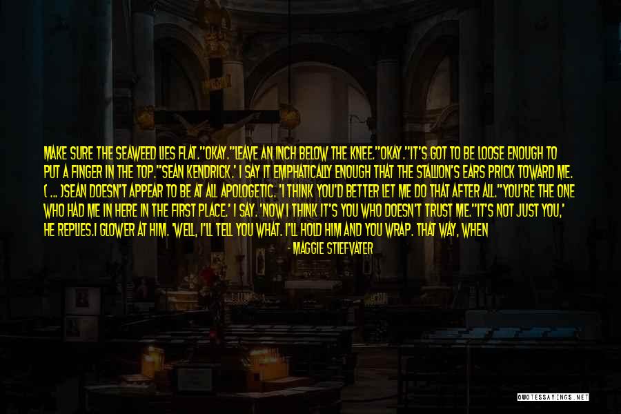 You Got Me All Wrong Quotes By Maggie Stiefvater You Got Me All Wrong Quotes By Maggie Stiefvater