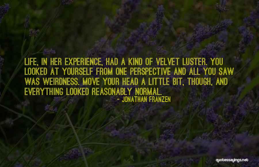 You Had Everything Quotes By Jonathan Franzen You Had Everything Quotes By Jonathan Franzen