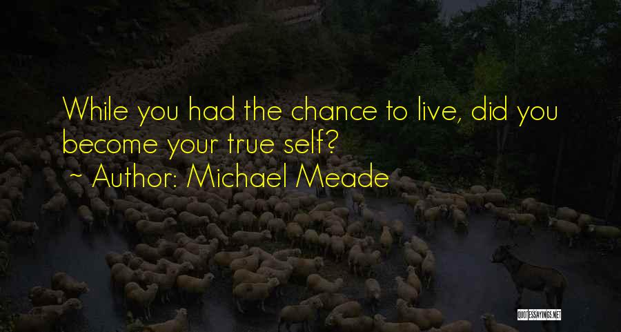 You Had Your Chance Quotes By Michael Meade