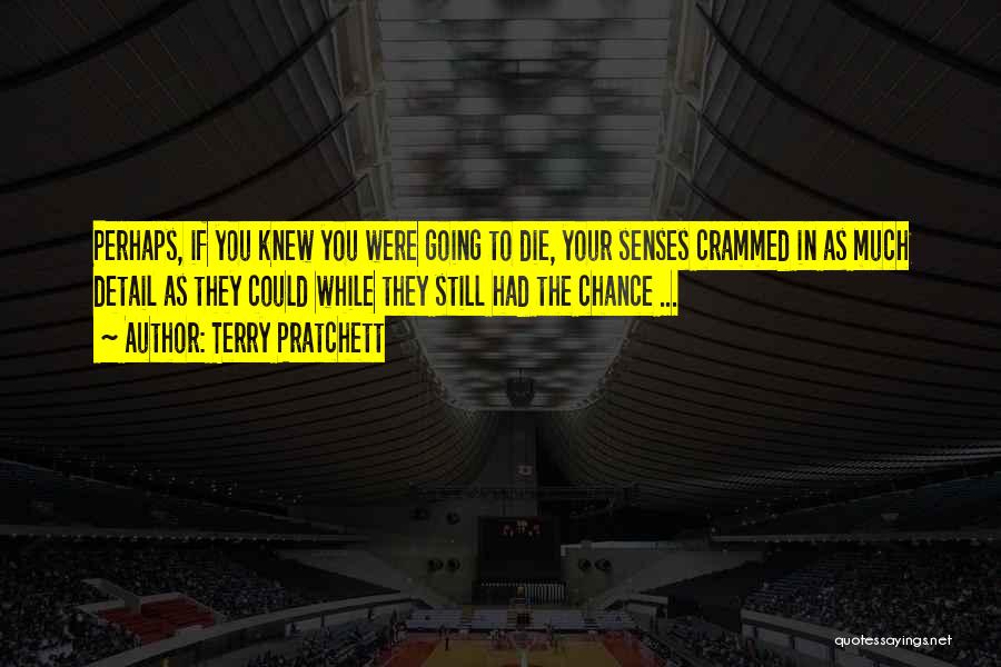 You Had Your Chance Quotes By Terry Pratchett