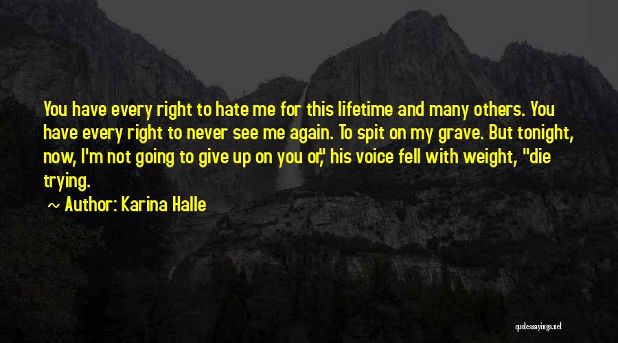 You Hate Me Now Quotes By Karina Halle