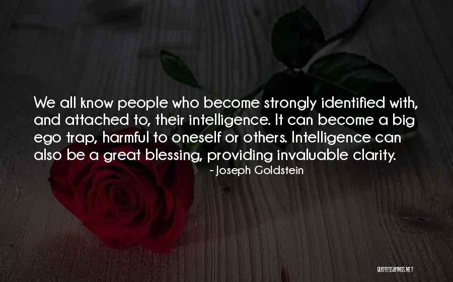 You Have A Big Ego Quotes By Joseph Goldstein You Have A Big Ego Quotes By Joseph Goldstein