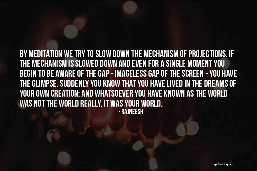 You Have A Dream Quotes By Rajneesh You Have A Dream Quotes By Rajneesh