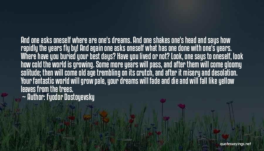 You Have Done Your Best Quotes By Fyodor Dostoyevsky