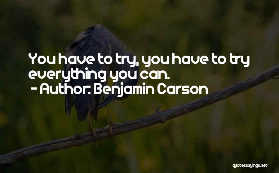 You Have Everything Quotes By Benjamin Carson