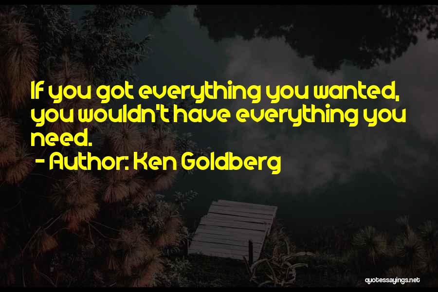 You Have Everything You Need Quotes By Ken Goldberg