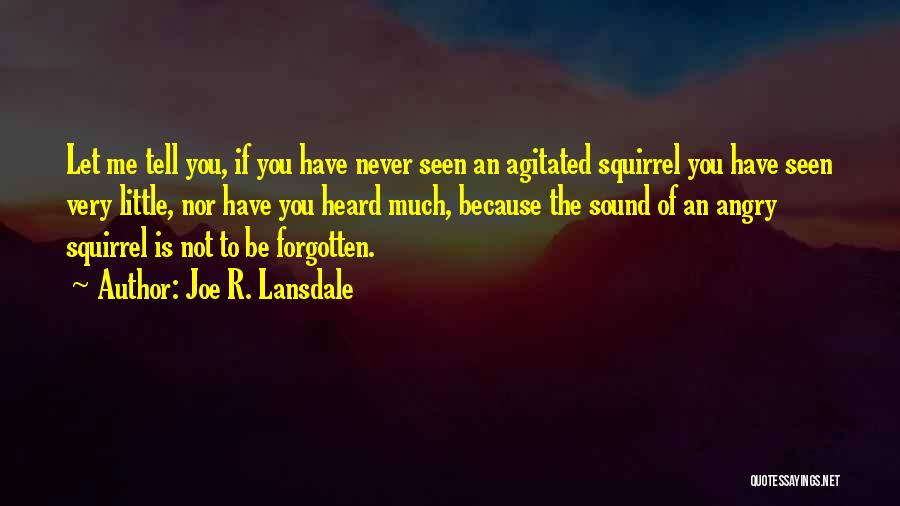 You Have Forgotten Me Quotes By Joe R. Lansdale