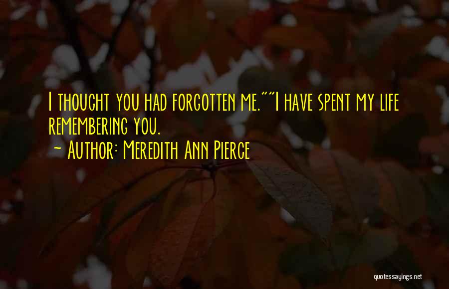 You Have Forgotten Me Quotes By Meredith Ann Pierce