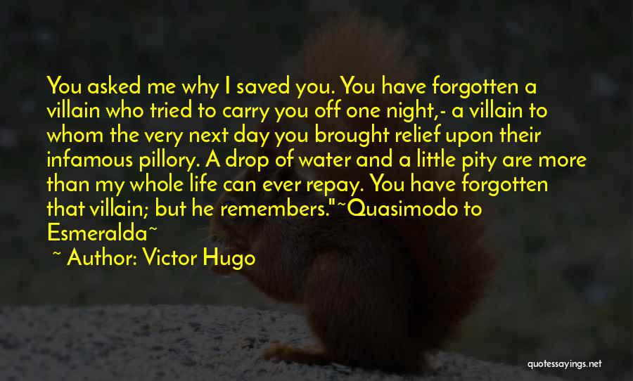 You Have Forgotten Me Quotes By Victor Hugo
