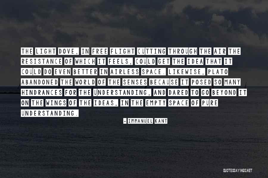 You Have No Idea What Someone Is Going Through Quotes By Immanuel Kant