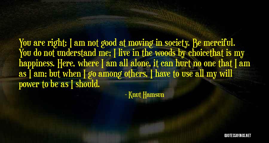 You Have No Power Here Quotes By Knut Hamsun You Have No Power Here Quotes By Knut Hamsun