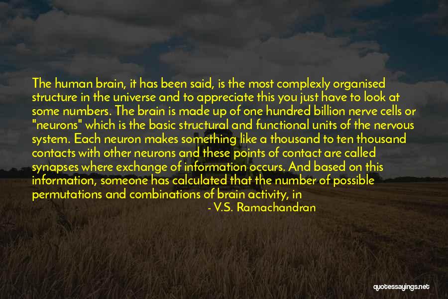 You Have Some Nerve Quotes By V.S. Ramachandran You Have Some Nerve Quotes By V.S. Ramachandran