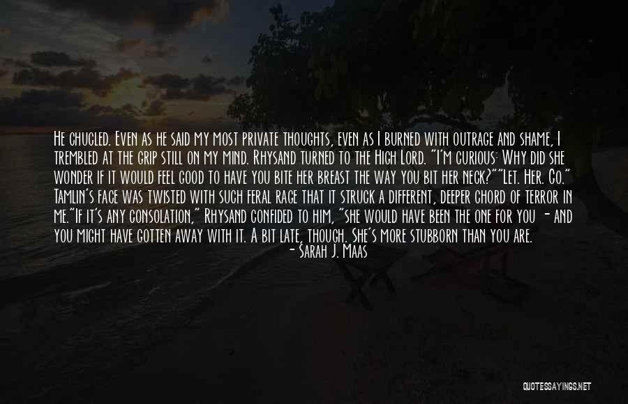 You Have To Let Her Go Quotes By Sarah J. Maas You Have To Let Her Go Quotes By Sarah J. Maas