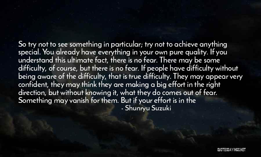 You Have To Lose Everything Quotes By Shunryu Suzuki