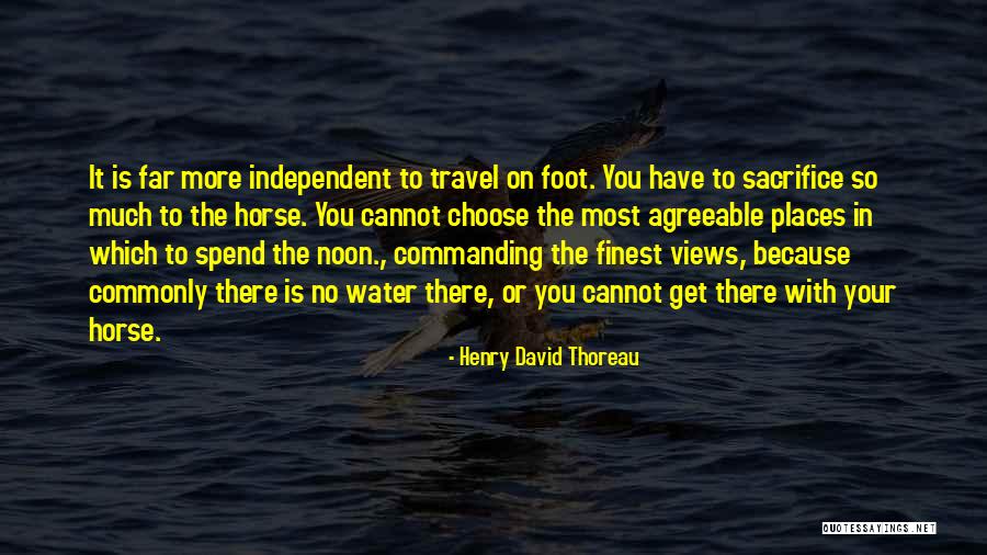 You Have To Sacrifice Quotes By Henry David Thoreau