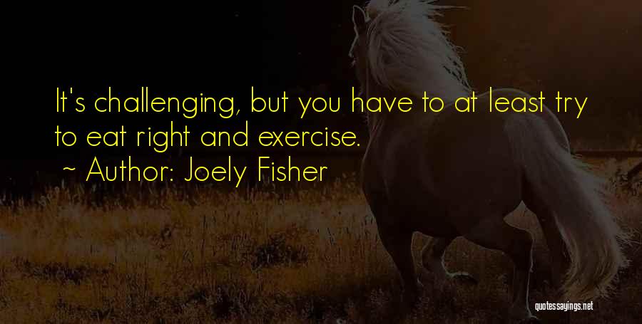 You Have To Try Quotes By Joely Fisher