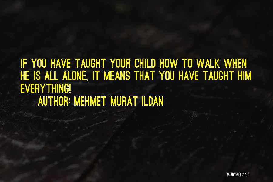 You Have To Walk Alone Quotes By Mehmet Murat Ildan