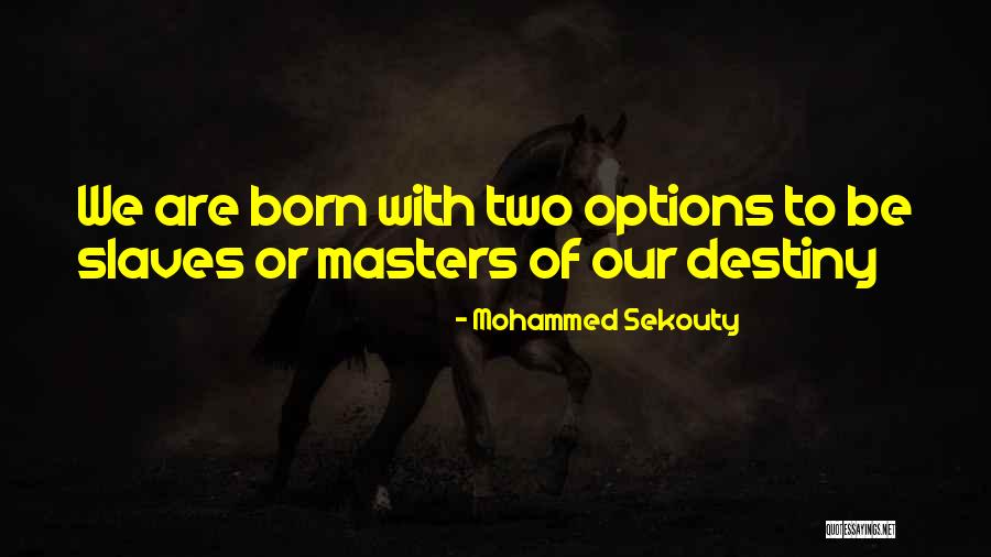 You Have Two Options In Life Quotes By Mohammed Sekouty