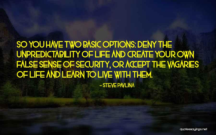 You Have Two Options In Life Quotes By Steve Pavlina