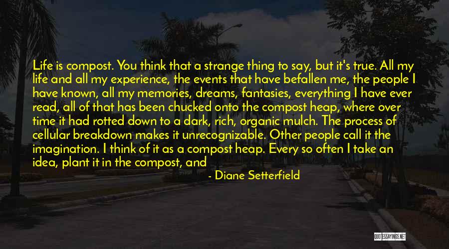 You Have Used Me Quotes By Diane Setterfield You Have Used Me Quotes By Diane Setterfield