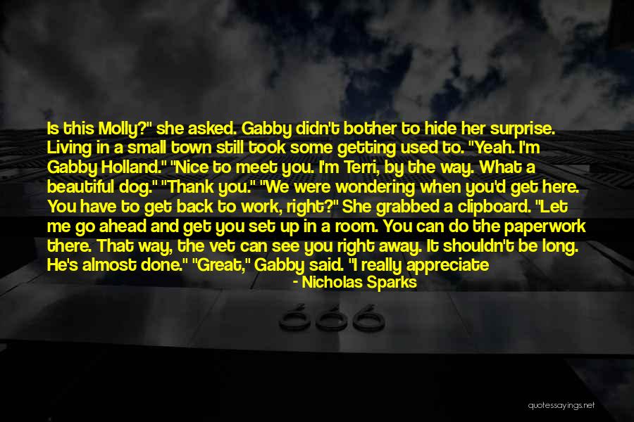 You Have Used Me Quotes By Nicholas Sparks You Have Used Me Quotes By Nicholas Sparks