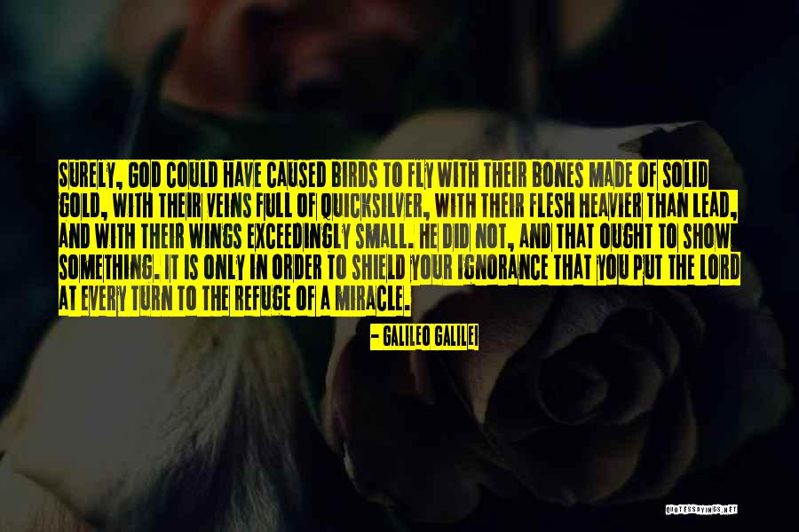 You Have Wings To Fly Quotes By Galileo Galilei You Have Wings To Fly Quotes By Galileo Galilei