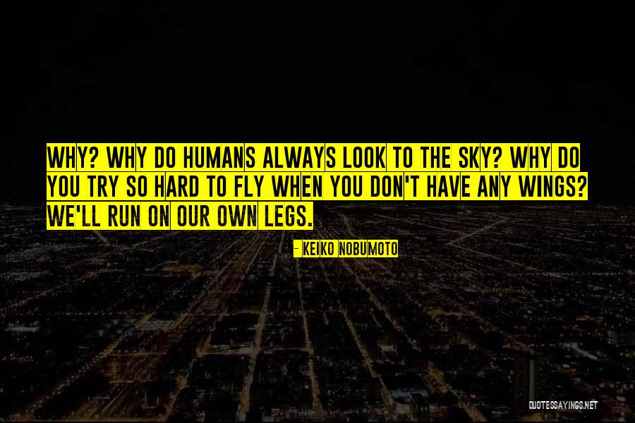 You Have Wings To Fly Quotes By Keiko Nobumoto You Have Wings To Fly Quotes By Keiko Nobumoto