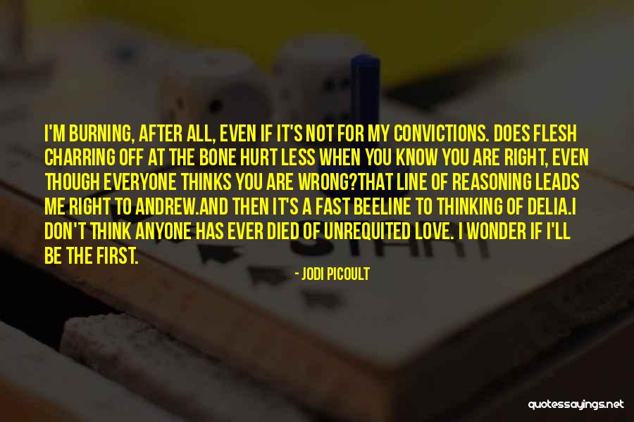 You Hurt Me First Quotes By Jodi Picoult You Hurt Me First Quotes By Jodi Picoult