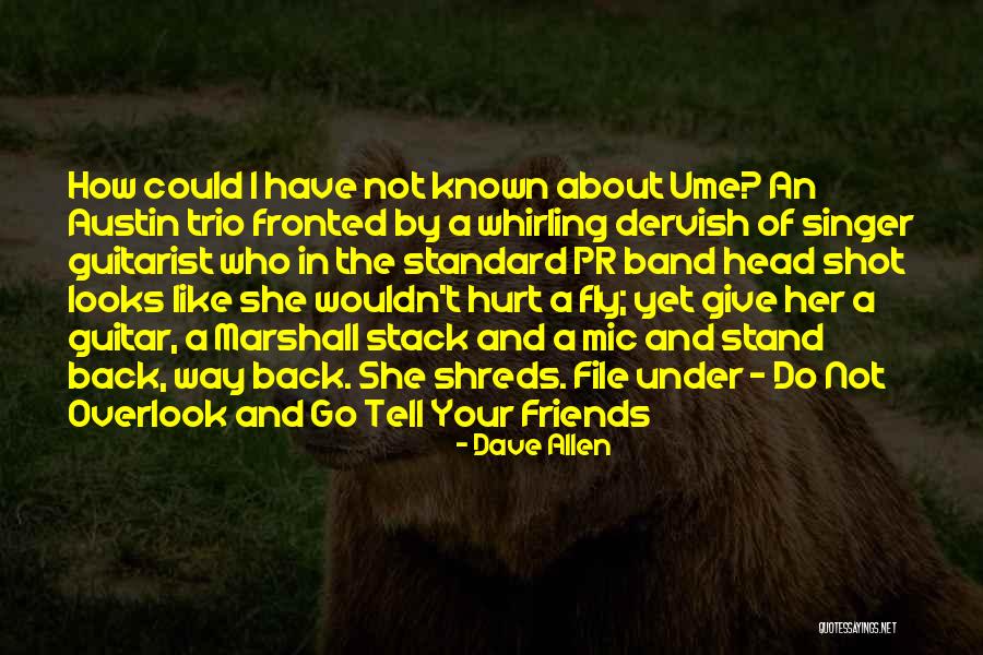 You Hurt My Friends Quotes By Dave Allen You Hurt My Friends Quotes By Dave Allen