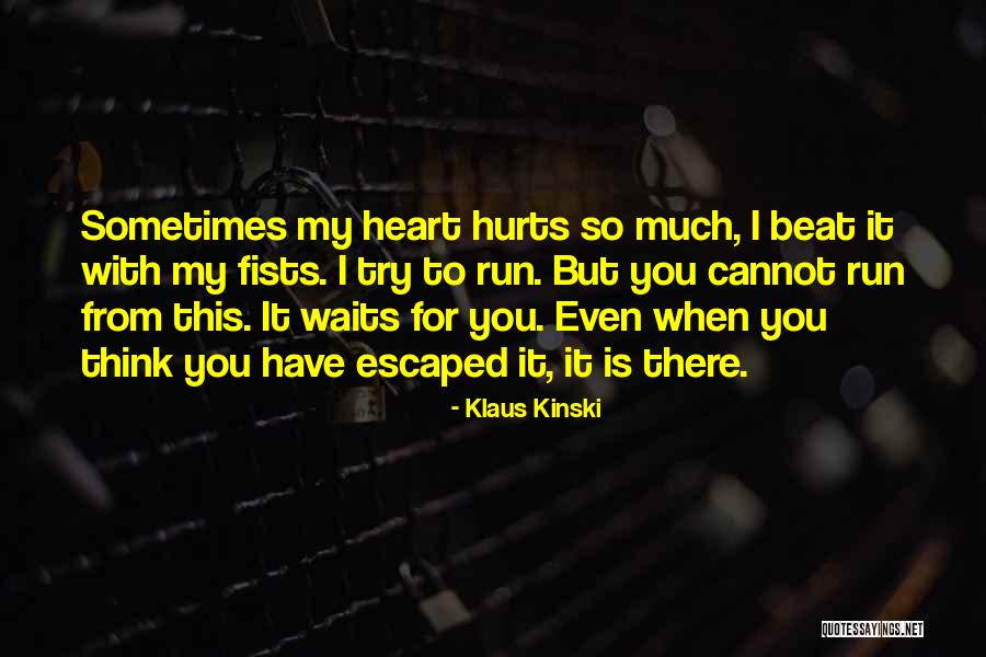 You Hurt My Heart Quotes By Klaus Kinski