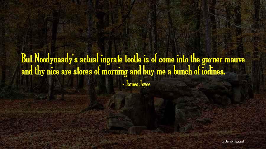 You Ingrate Quotes By James Joyce You Ingrate Quotes By James Joyce