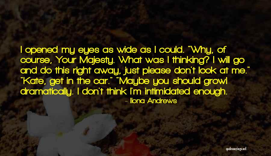 You Just Don't Get Me Quotes By Ilona Andrews You Just Don't Get Me Quotes By Ilona Andrews