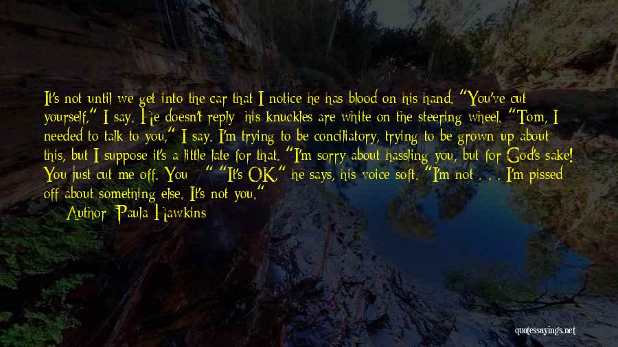 You Just Pissed Me Off Quotes By Paula Hawkins