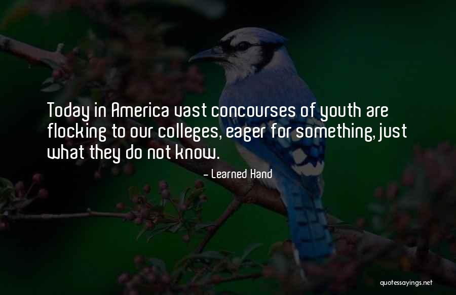 You Know I Learned Something Today Quotes By Learned Hand