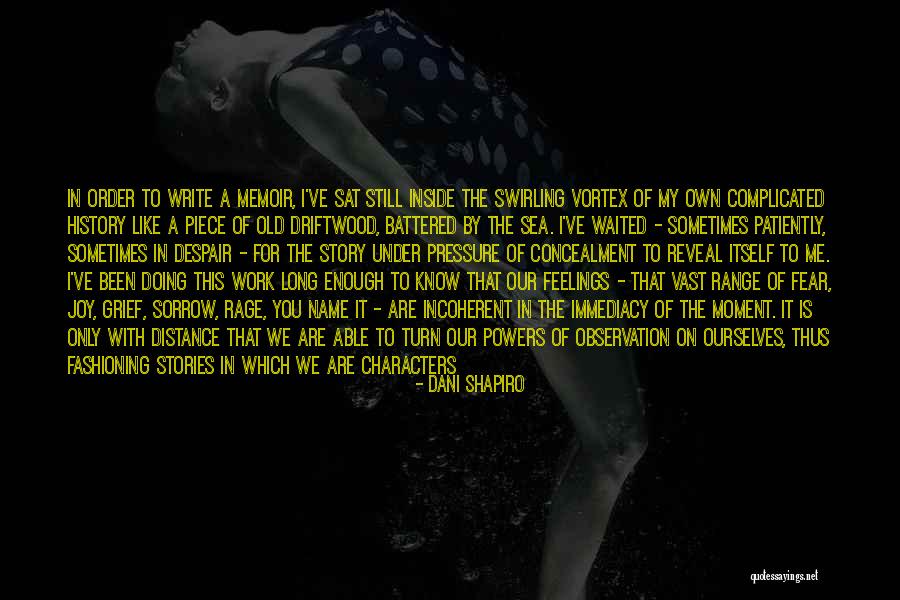 You Know My Name Not My Story Quotes By Dani Shapiro You Know My Name Not My Story Quotes By Dani Shapiro