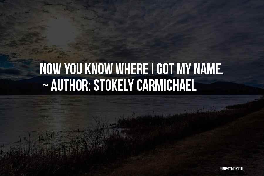 You Know My Name Quotes By Stokely Carmichael