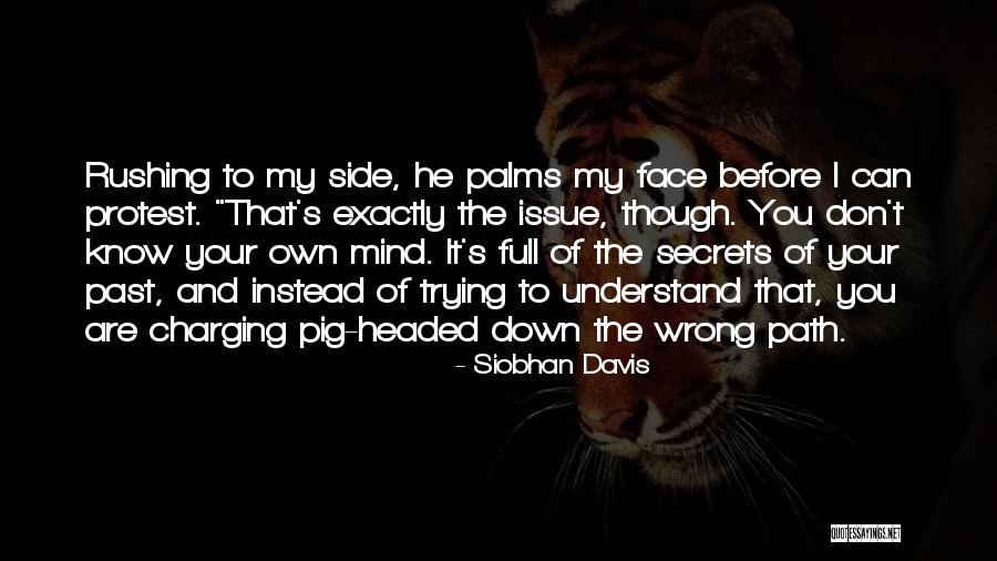 You Know My Past Quotes By Siobhan Davis You Know My Past Quotes By Siobhan Davis