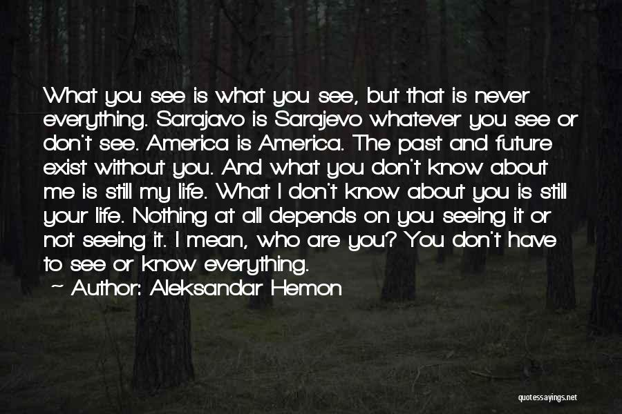 You Know Nothing About Me Quotes By Aleksandar Hemon