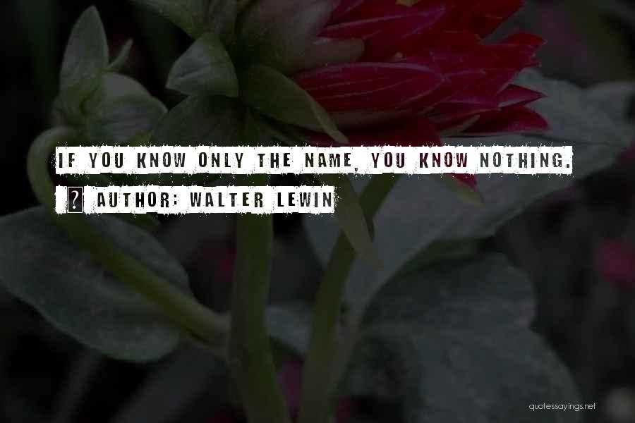 You Know Nothing Quotes By Walter Lewin