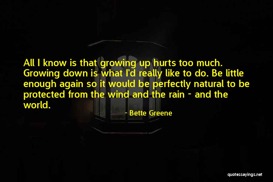 You Know What Hurts The Most Quotes By Bette Greene