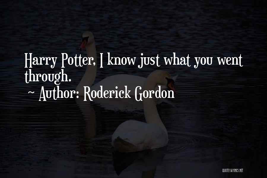 You Know Who Harry Potter Quotes By Roderick Gordon