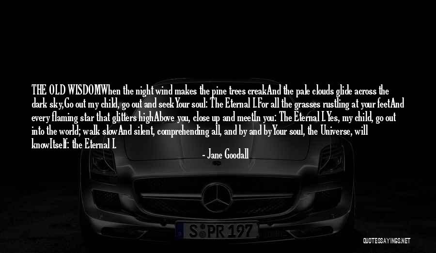 You Know Your Old When Quotes By Jane Goodall You Know Your Old When Quotes By Jane Goodall