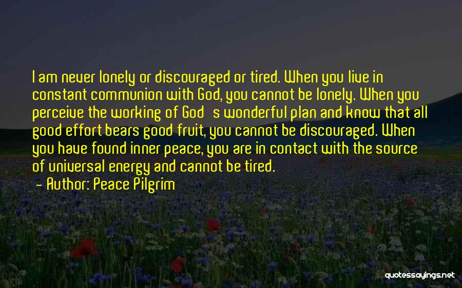 You Know You're Lonely When Quotes By Peace Pilgrim