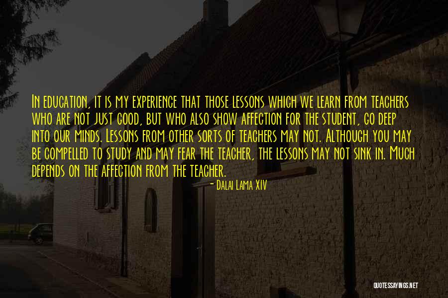 You Learn From Experience Quotes By Dalai Lama XIV You Learn From Experience Quotes By Dalai Lama XIV
