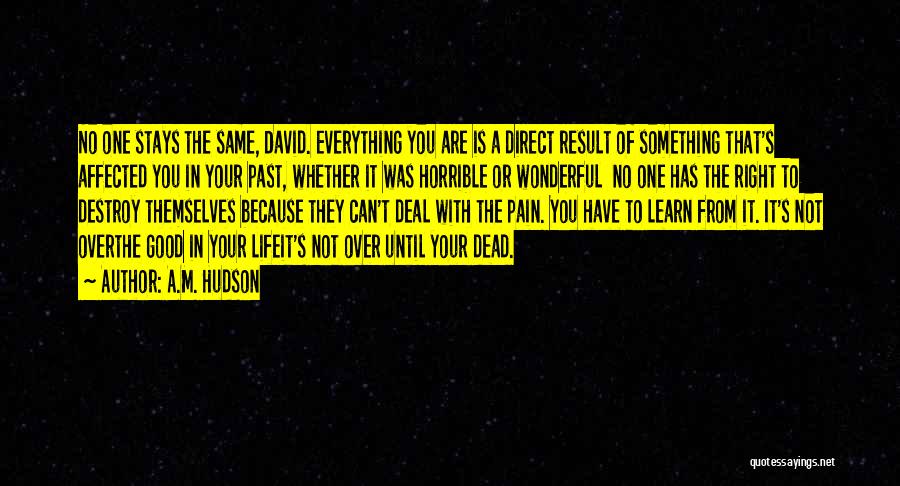 You Learn From The Past Quotes By A.M. Hudson