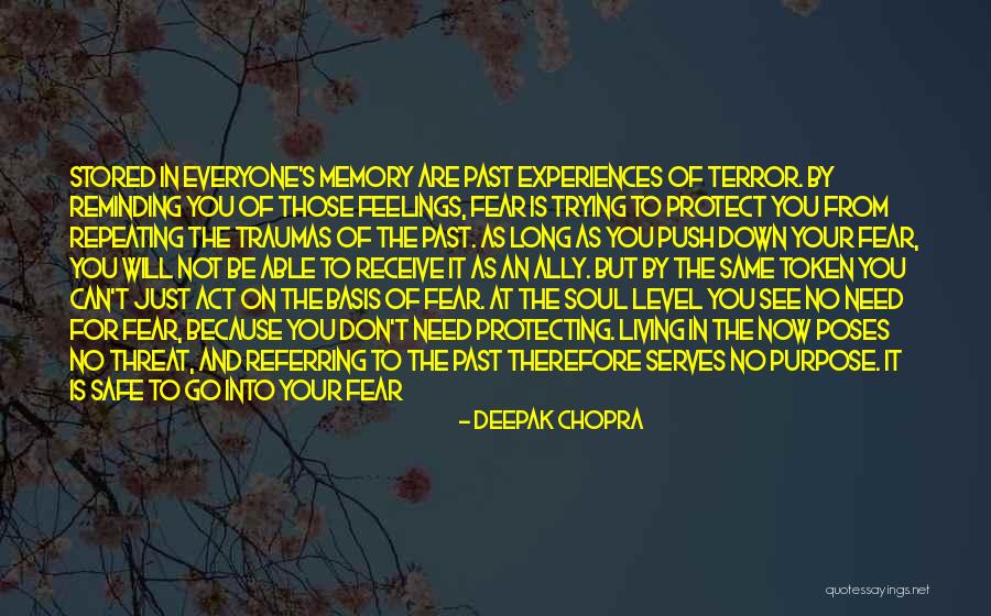 You Learn From The Past Quotes By Deepak Chopra