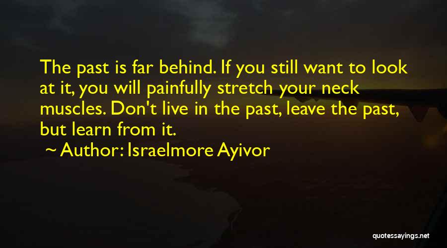 You Learn From The Past Quotes By Israelmore Ayivor