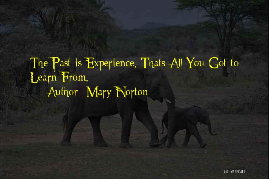 You Learn From The Past Quotes By Mary Norton