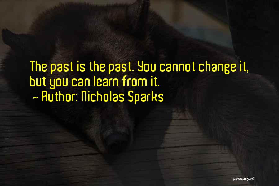 You Learn From The Past Quotes By Nicholas Sparks