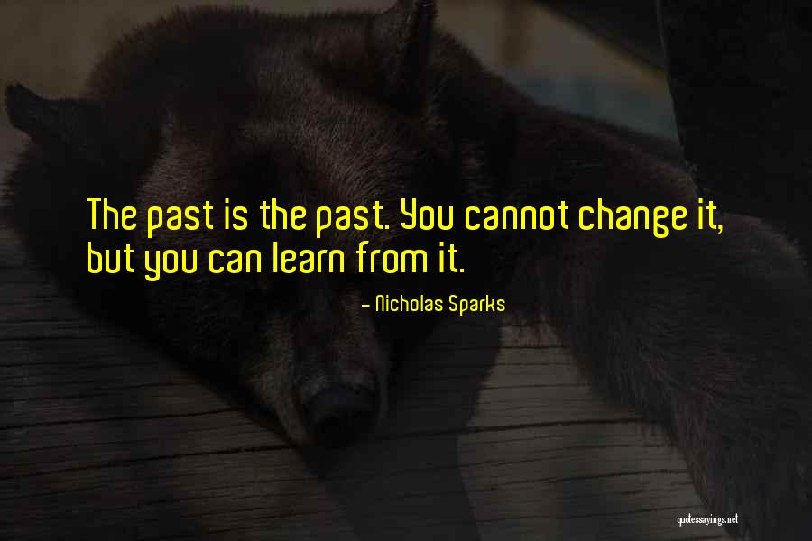 You Learn From The Past Quotes By Nicholas Sparks